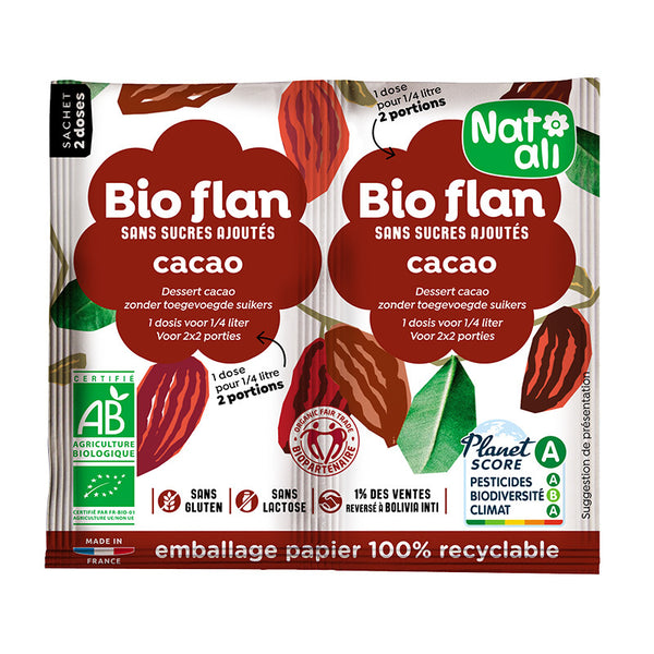 BUDINCA DE CACAO BIO ( 2 BUCATI X 5.5G ) 11G