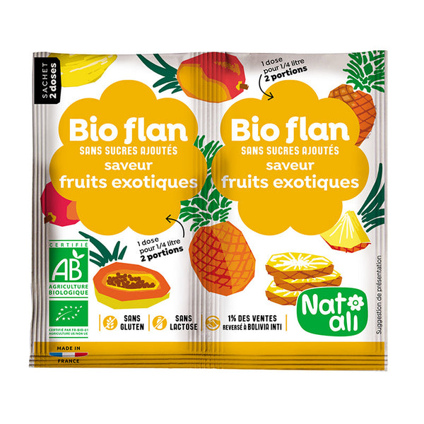 BUDINCA DE FRUCTE EXOTICE BIO ( 2 BUCATI X 4G ) 8G
