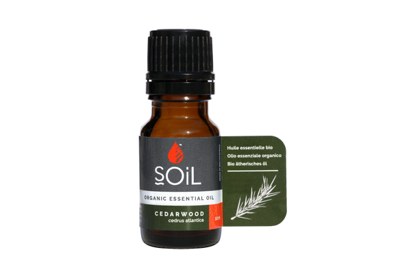 Ulei esenţial de Cedru (Cedarwood) Ecologic/Bio 10ml SOiL