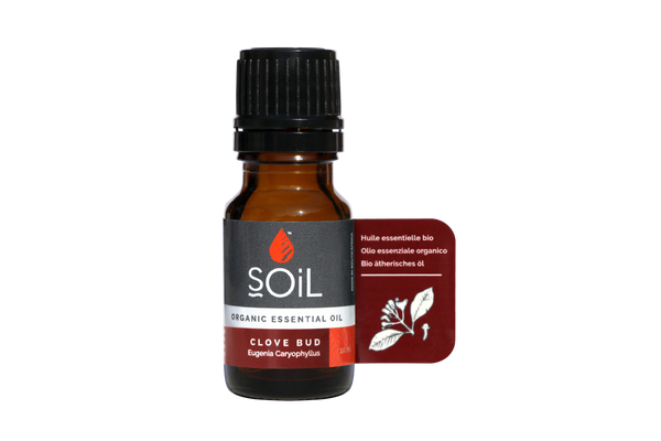 Ulei Esențial de Cuișoare (Clove Bud) Ecologic/Bio, 10ml | SOiL