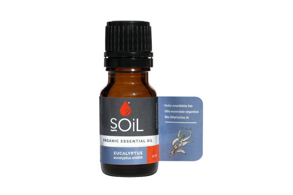 Ulei esenţial de Eucalipt (Eucalyptus) Ecologic/Bio 10ml SOiL