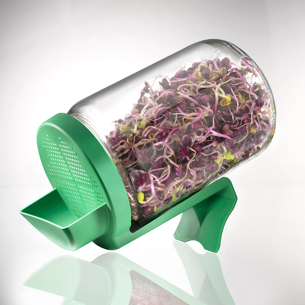 GERMINATOR TIP BORCAN CU PROTECTIE LA SCURGEREA APEI