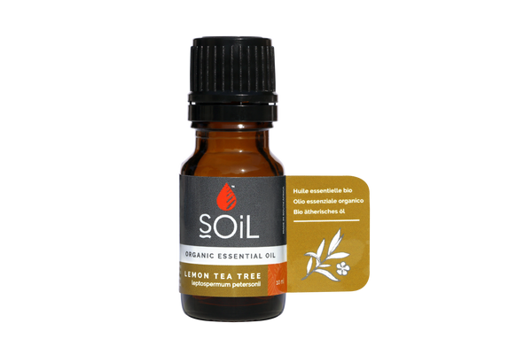 Ulei esenţial de Arbore de Ceai Lămâios (Lemon Tea Tree) Ecologic/Bio 10ml SOiL