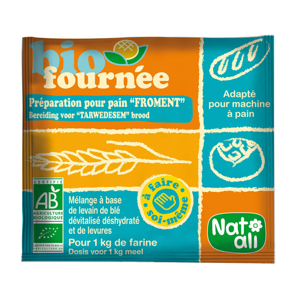 MIX DIN GRAU SI DROJDII PENTRU PAINE BIO 35G