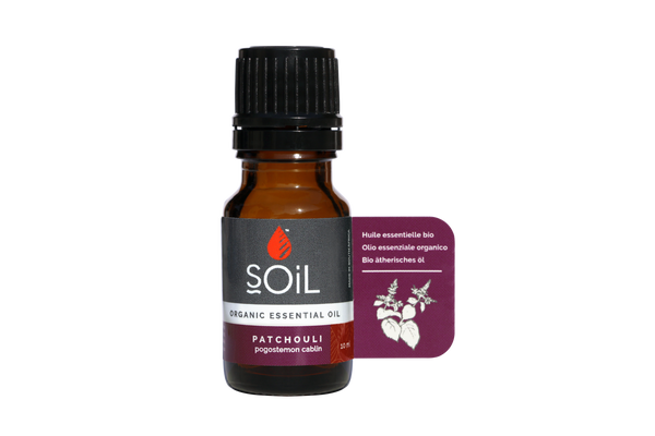 Ulei Esential Patchouli (Paciuli) 100% Organic ECOCERT, 10ml |SOiL
