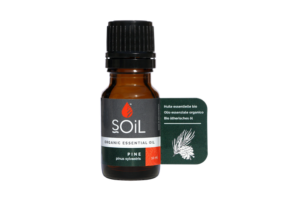 Ulei Esențial de Pin (Pine) Ecologic/Bio, 10ml | SOiL