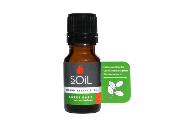 Ulei Esențial de Busuioc (Basil) Ecologic/Bio, 10ml | SOiL