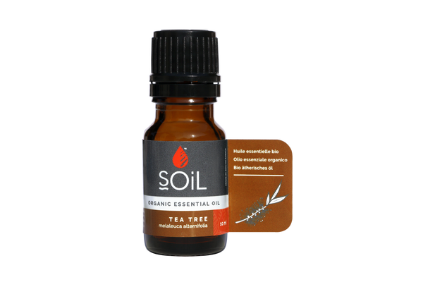 Ulei esential de Tea Tree (Arbore de ceai) Ecologic/Bio 10ml SOiL